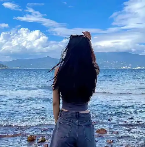 蜘蛛池对SEO黑帽技术的风险分析